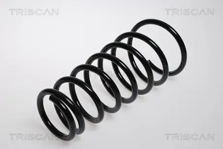 Пружина ходовой части TRISCAN 87504325