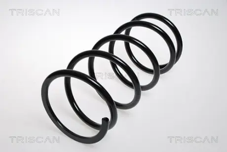Пружина ходовой части TRISCAN 87504328