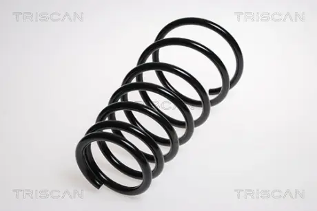 Пружина ходовой части TRISCAN 87504341