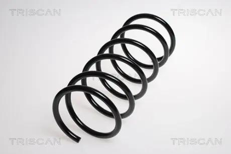 Пружина ходовой части TRISCAN 87504344