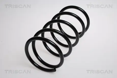 Пружина ходовой части TRISCAN 87504348