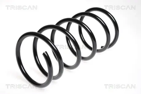 Пружина ходовой части TRISCAN 87504352