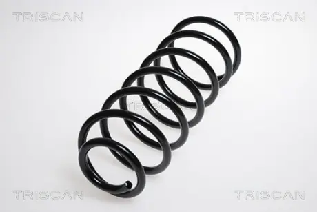 Пружина ходовой части TRISCAN 87504353