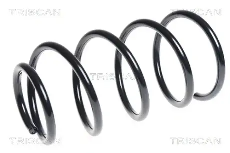 Пружина ходовой части TRISCAN 87504355