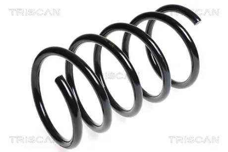 Пружина ходовой части TRISCAN 87504357