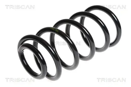 Пружина ходовой части TRISCAN 87504359