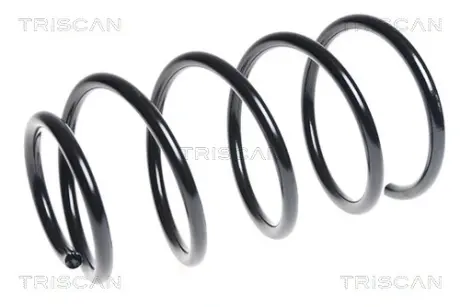 Пружина ходовой части TRISCAN 87504364