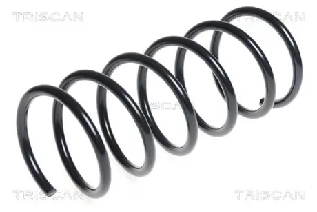 Пружина ходовой части TRISCAN 87504370