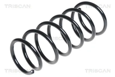Пружина ходовой части TRISCAN 87504373