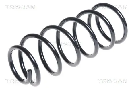 Пружина ходовой части TRISCAN 87504374
