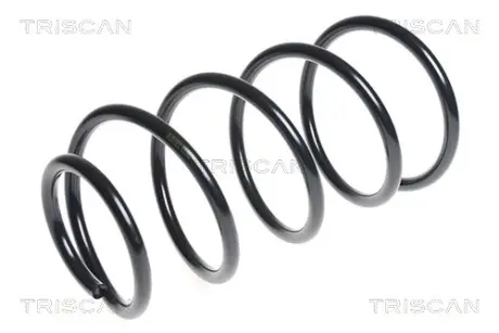 Пружина ходовой части TRISCAN 87504375