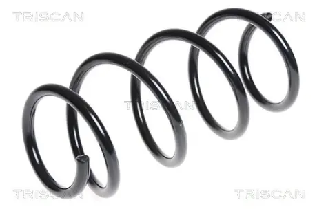Пружина ходовой части TRISCAN 87504380