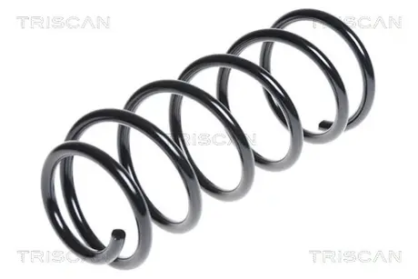 Пружина ходовой части TRISCAN 87504381