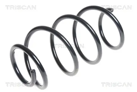 Пружина ходовой части TRISCAN 87504382