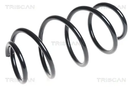 Пружина ходовой части TRISCAN 87504383