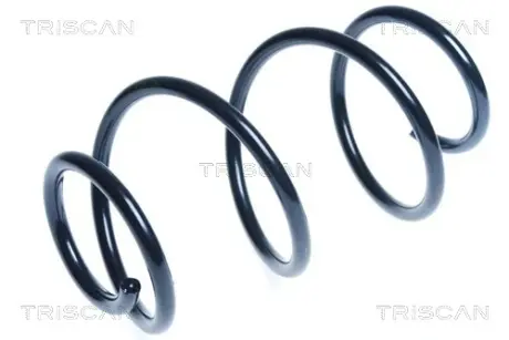 Пружина ходовой части TRISCAN 87504384