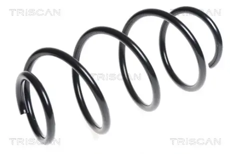 Пружина ходовой части TRISCAN 87504385