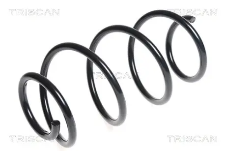 Пружина ходовой части TRISCAN 87504387