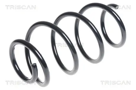 Пружина ходовой части TRISCAN 87504389