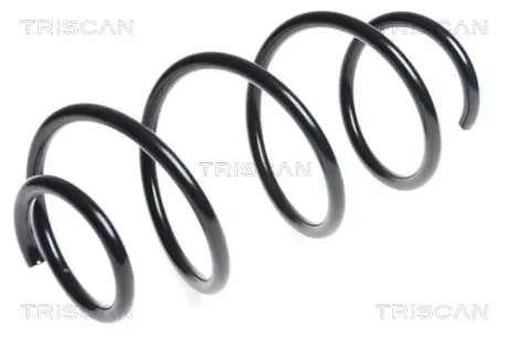 Пружина ходовой части TRISCAN 87504391