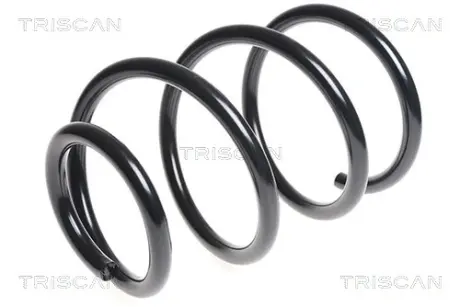 Пружина ходовой части TRISCAN 87504395