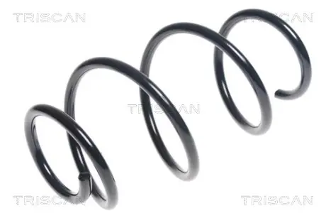 Пружина ходовой части TRISCAN 87504397
