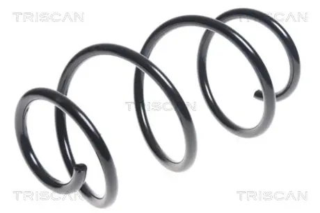 Пружина ходовой части TRISCAN 87504399