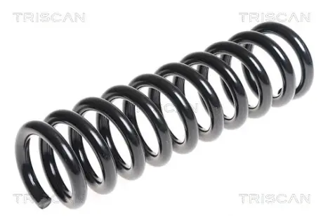 Пружина ходовой части TRISCAN 87504401