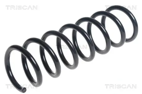 Пружина ходовой части TRISCAN 875050101