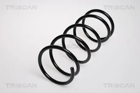 Пружина ходовой части TRISCAN 87505016
