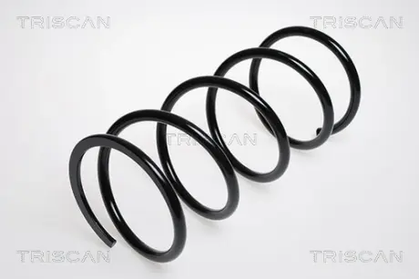 Пружина ходовой части TRISCAN 87505032