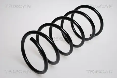 Пружина ходовой части TRISCAN 87505038