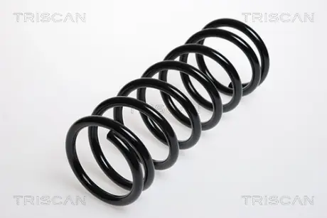 Пружина ходовой части TRISCAN 87505048