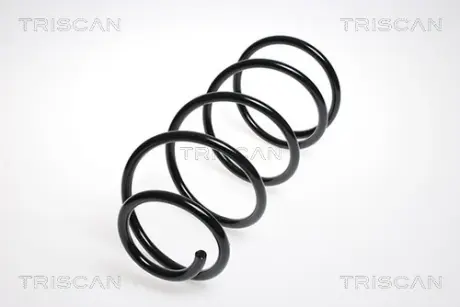 Пружина ходовой части TRISCAN 87505055