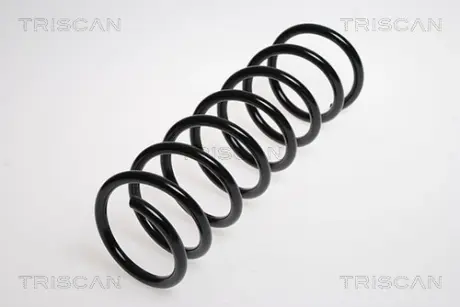 Пружина ходовой части TRISCAN 87505057