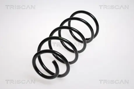 Пружина ходовой части TRISCAN 87505059