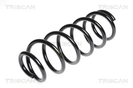 Пружина ходовой части TRISCAN 87505063
