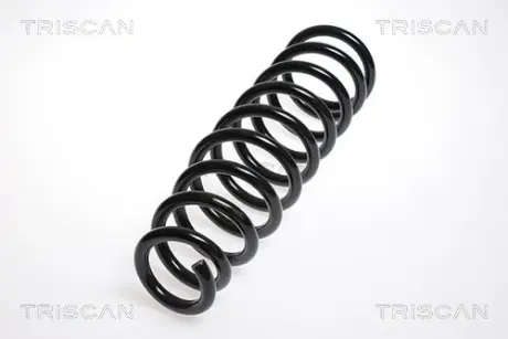 Пружина ходовой части TRISCAN 87505064