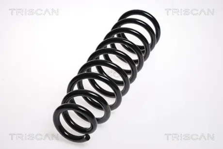 Пружина ходовой части TRISCAN 87505065