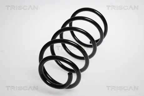 Пружина ходовой части TRISCAN 87505067