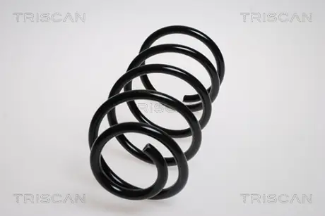 Пружина ходовой части TRISCAN 87505068