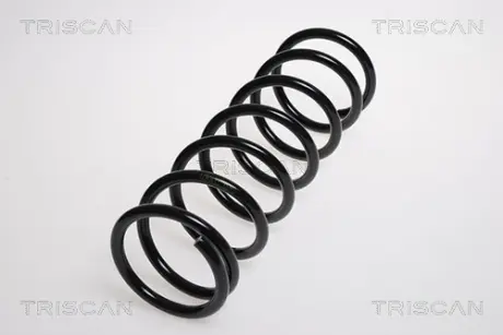 Пружина ходовой части TRISCAN 87505074