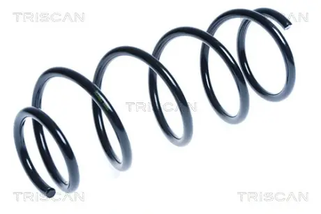 Пружина ходовой части TRISCAN 87505079
