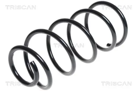 Пружина ходовой части TRISCAN 87505084