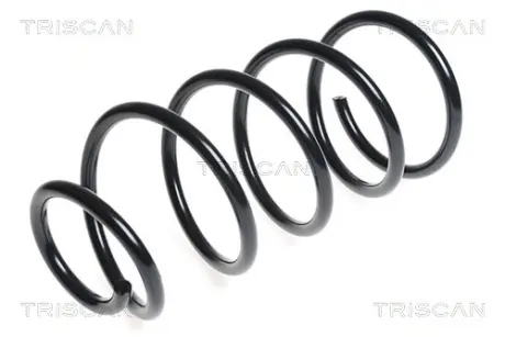 Пружина ходовой части TRISCAN 87505085