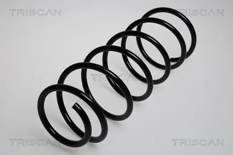 Пружина ходовой части TRISCAN 87506509