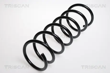Пружина ходовой части TRISCAN 87506514