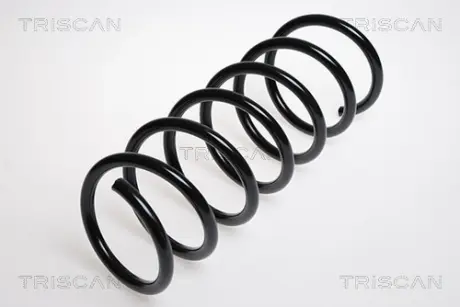 Пружина ходовой части TRISCAN 87506515