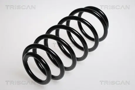 Пружина ходовой части TRISCAN 87506516