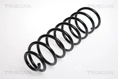 Пружина ходовой части TRISCAN 87506519